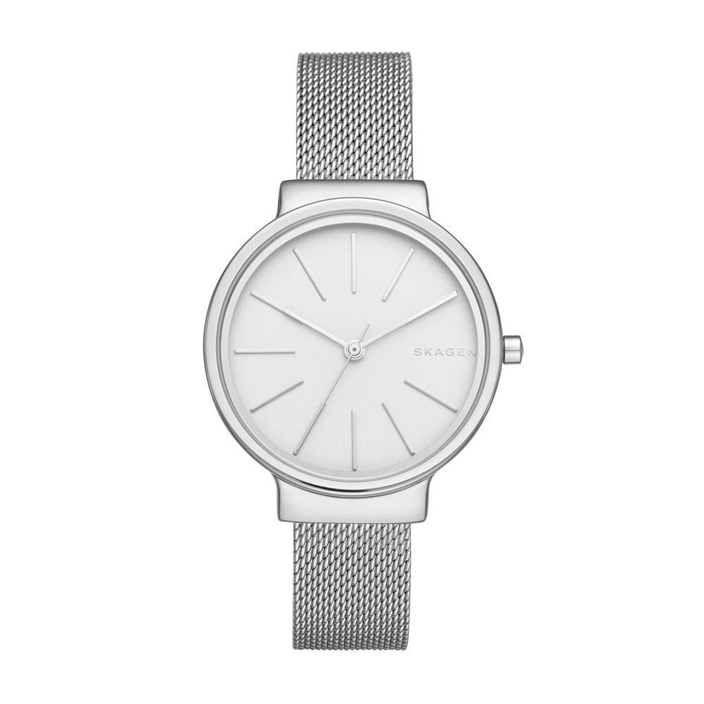 Skagen skw6077 hotsell