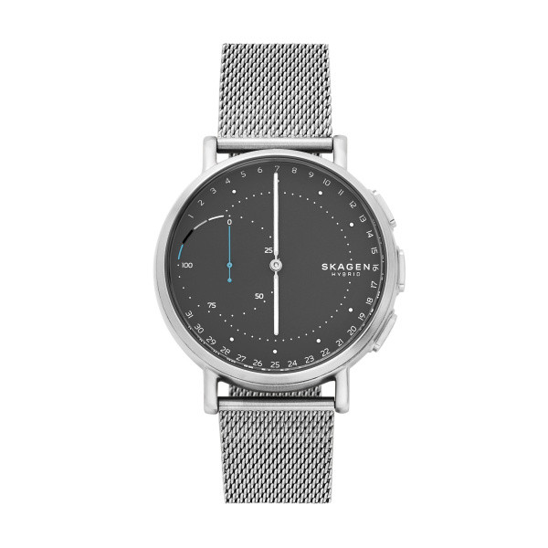 Watch strap Skagen SKT1113 Milanese 20mm