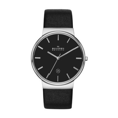 Skagen skw6104 strap sale