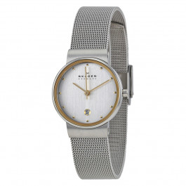 Watch strap Skagen 355SGSC Steel 14mm