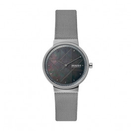 Watch strap Skagen SKW2832 Stainless steel Grey 16mm