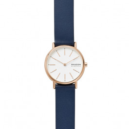 Skagen watch best sale strap replacement uk