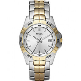 Watch strap Fossil AM3998 Stainless steel Multicolor 20mm