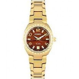 Watch strap Fossil AM4176 Stainless steel Gold Toned 18mm