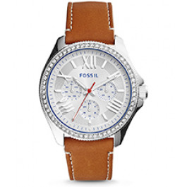 Bq2099 fossil new arrivals