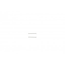 Diesel Fixation screws DZ1373 - 28mm - 2 pieces