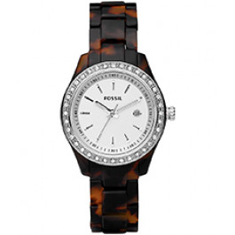 Tortoise shell fossil 2025 watch
