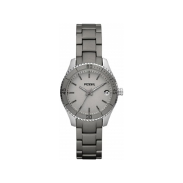 Watch strap Fossil ES3048 Aluminum Grey 14mm