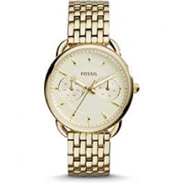Es3714 fossil on sale