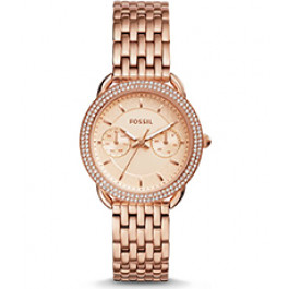 Fossil es4545 best sale