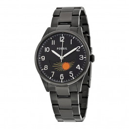 Fossil Watch links FS4849 - Steel - (2 pieces)
