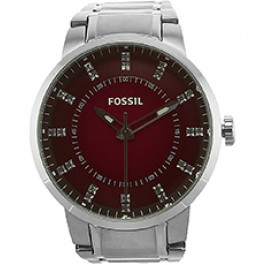 Watch strap Fossil FS4901 Stainless steel Steel 20mm