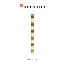 Watch strap Hamilton H600.243.100 / STAAL Steel Gold toned 17mm