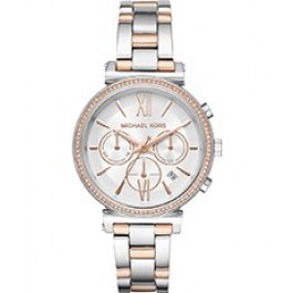 Watch strap Michael Kors MK6558 Stainless steel Multicolor 16mm