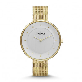 Skagen watch strap SKW2141 237XXXX Skagen Buy online