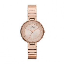 Skagen watch ladies new arrivals price