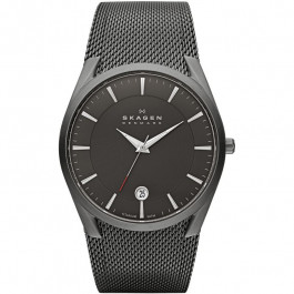 Watch strap Skagen SKW6010 Titanium 30mm