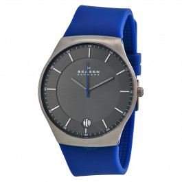 Watch strap Skagen SKW6072 Plastic Blue
