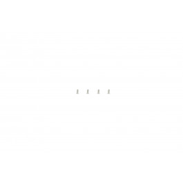 Skagen 358SSLB Screws (4 pieces)