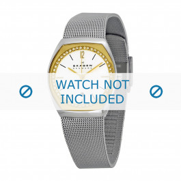 Skagen watch strap SKW2050 Metal Silver