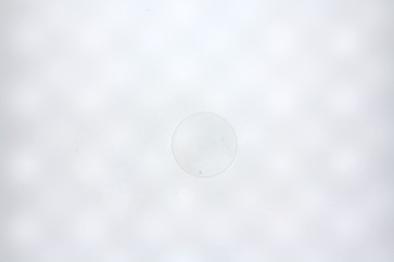 Armani Watch glass/crystal (curved) AR2477 