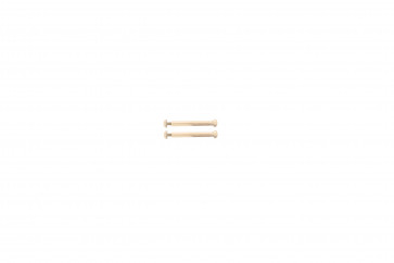 Fossil Fixation screws ES3226 / Georgia - 2 pieces