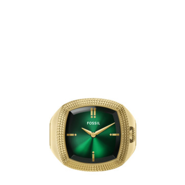 Watch strap Fossil LE1213 Steel Gold toned 6mm