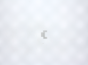 DKNY Watch links NY4912 / NY4913 - 20mm - (1 piece)