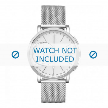 Watch strap Smartwatch Skagen SKT1100 / Hagen Milanese Steel 20mm