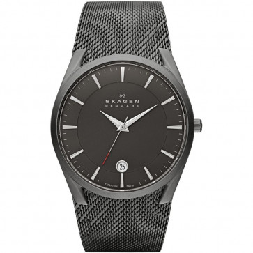 Watch strap Skagen SKW6010 Titanium 30mm