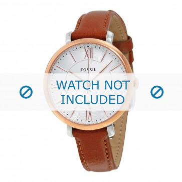 Watch strap Fossil ES3842 Leather Brown 14mm
