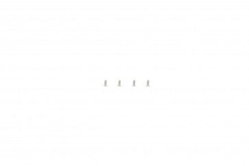 Skagen 358SSLB Screws (4 pieces)