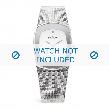 Skagen watch strap 649SSSC