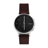 Watch strap Skagen SKT1111 Leather Brown 20mm