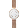 Watch strap Skagen SKT1412 Leather 4mm