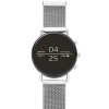 Watch strap Skagen SKT5102 Milanese Steel 20mm
