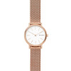 Watch strap Skagen SKW2694 Steel Rosé 14mm