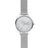 Watch strap Skagen SKW2701 Steel Stainless steel 14mm