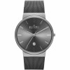 Watch strap Skagen SKW6108 / 247XXX Milanese Grey 22mm