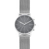 Watch strap Skagen SKW6464 Steel 20mm