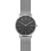 Watch strap Skagen SKW6483 Milanese Steel 20mm
