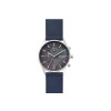 Watch strap Skagen SKW6653 Leather Blue 22mm