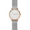 Watch strap Skagen SKW1106 Steel 14mm