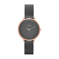 Skagen skw2750 on sale