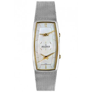 Watch strap Skagen 281SGSC Steel