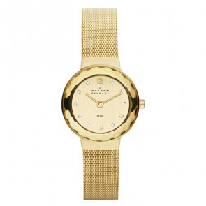 Watch strap Skagen 456SGSG Steel Gold Toned