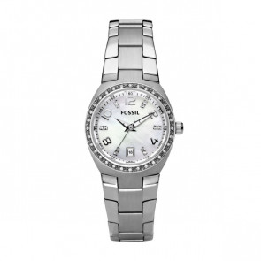Watch strap Fossil AM4141 Stainless steel Steel 8mm