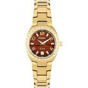Watch strap Fossil AM4176 Stainless steel Gold Toned 18mm