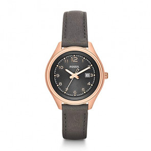 Watch strap Fossil AM4500 Leather Brown 14mm