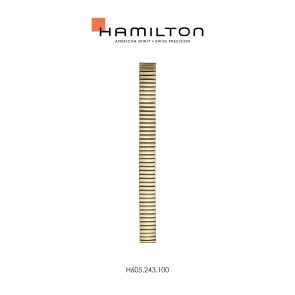 Watch strap Hamilton H600.243.100 / STAAL Steel Gold toned 17mm